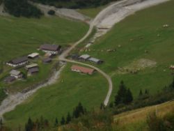 2013-09-08_6Falkenh-Steinfalk (325).JPG